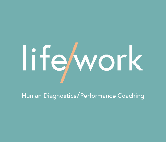 HR Audit, Strategy & Executive Coaching